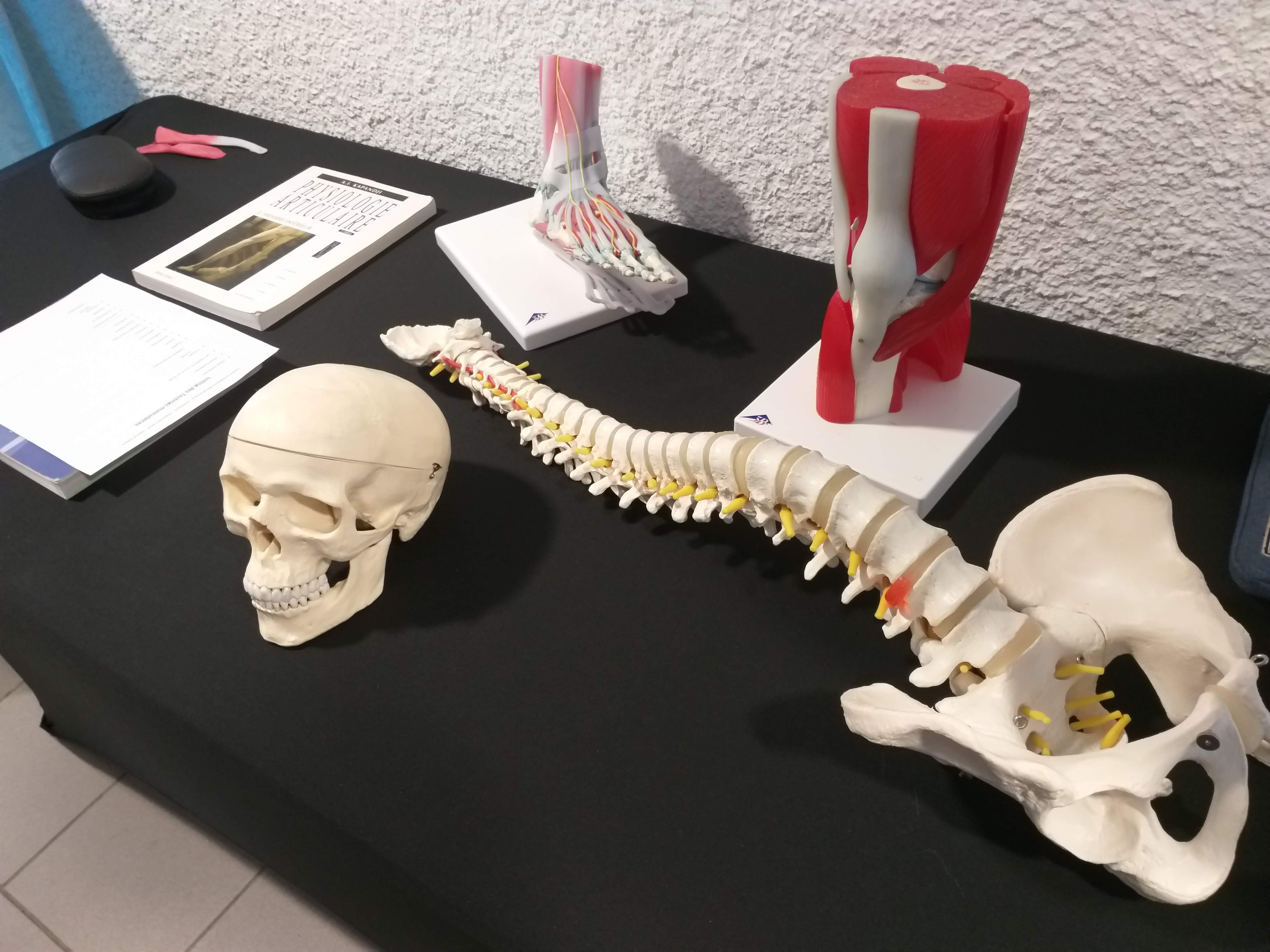 Vinaora Nivo Slider 3.x