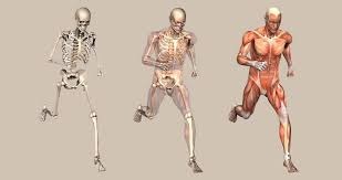 Vinaora Nivo Slider 3.x