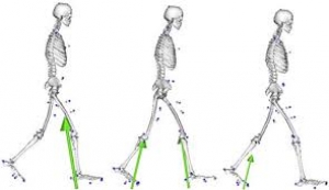 Vinaora Nivo Slider 3.x