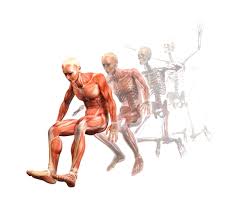 Vinaora Nivo Slider 3.x