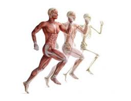 Vinaora Nivo Slider 3.x